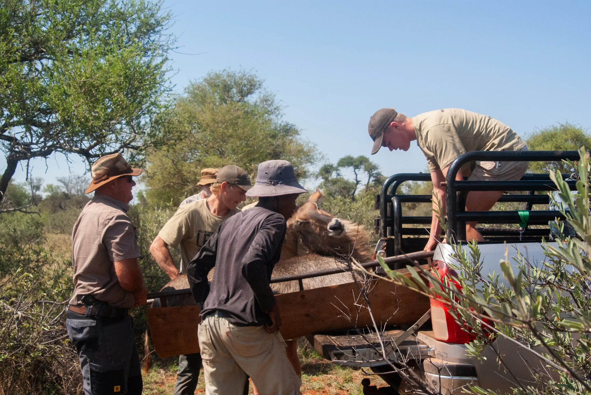 Wildvang Week — field experience at Legacy Training