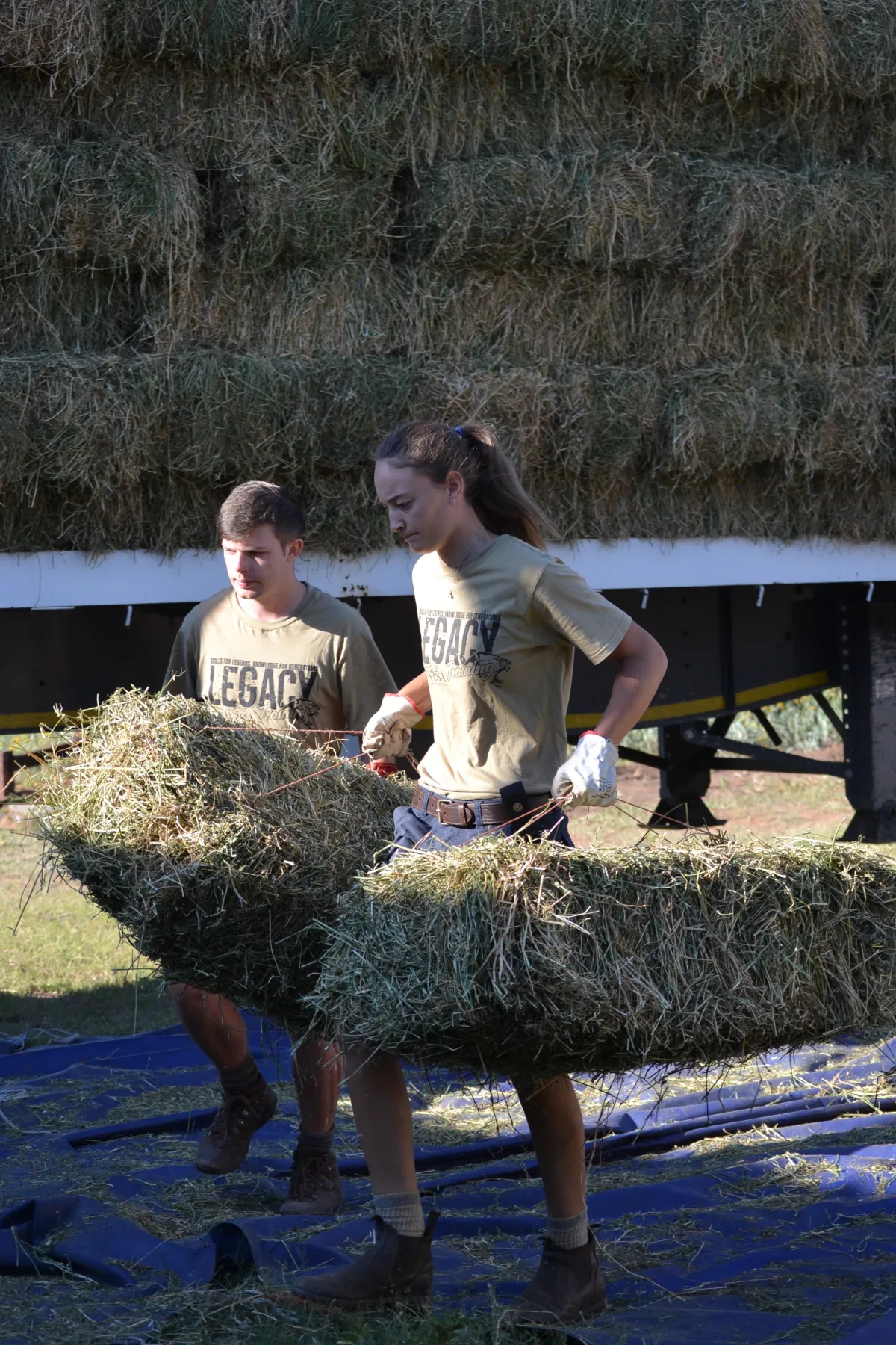 Bosroete Apprenticeship in the field